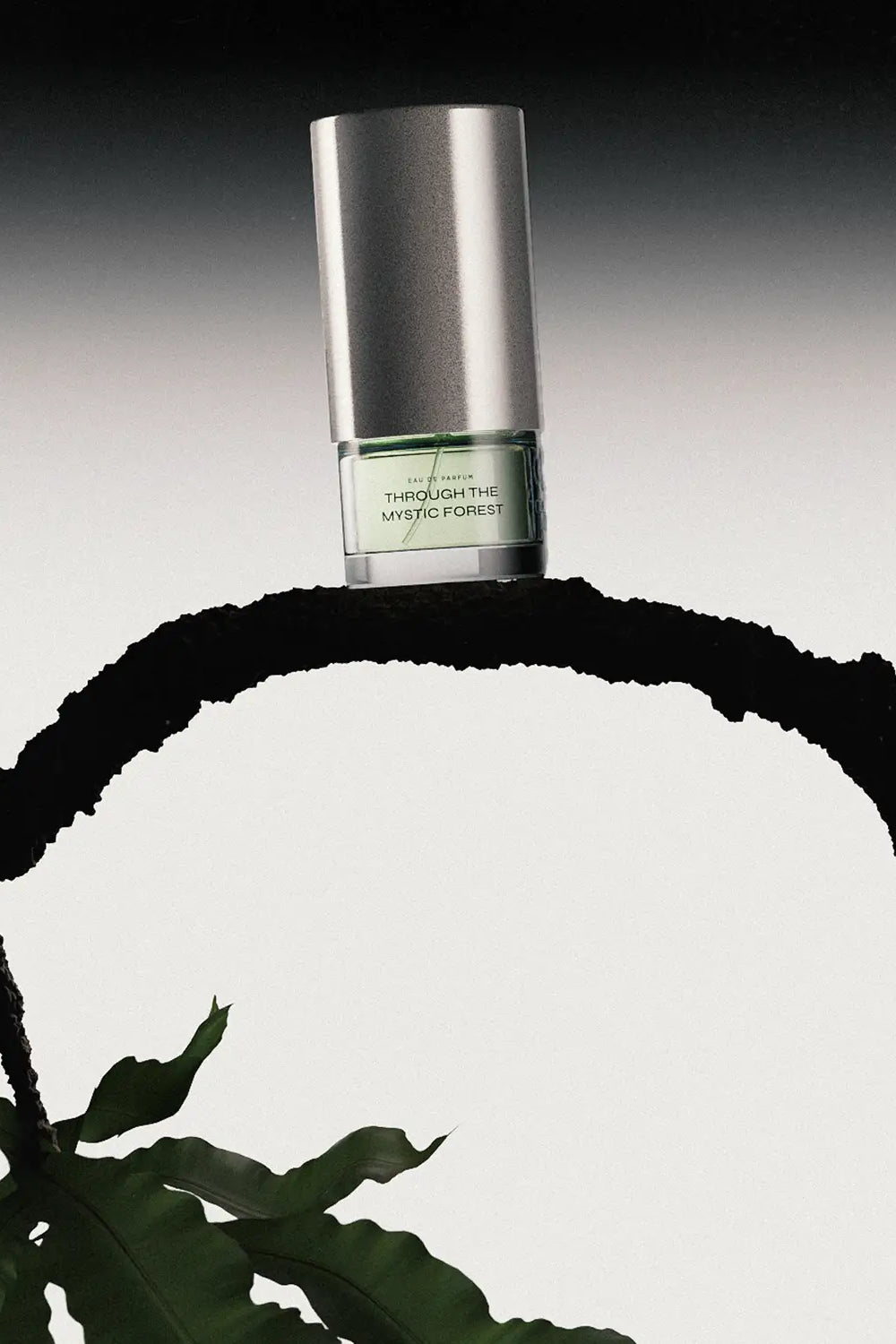 Through The Mystic Forest (50ml) - Scents Of P.L.T.O