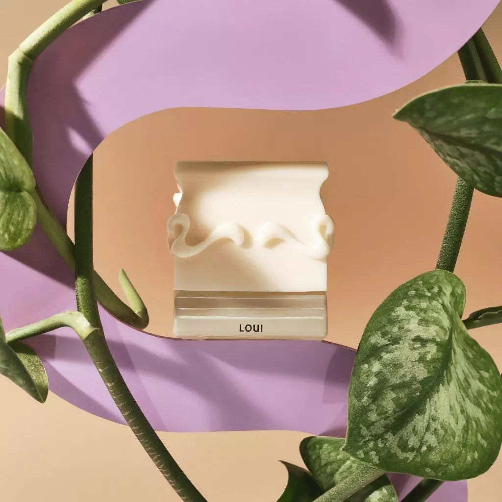 Loui perfume bottle from Saff & Co on a pink and beige background with green leaves.