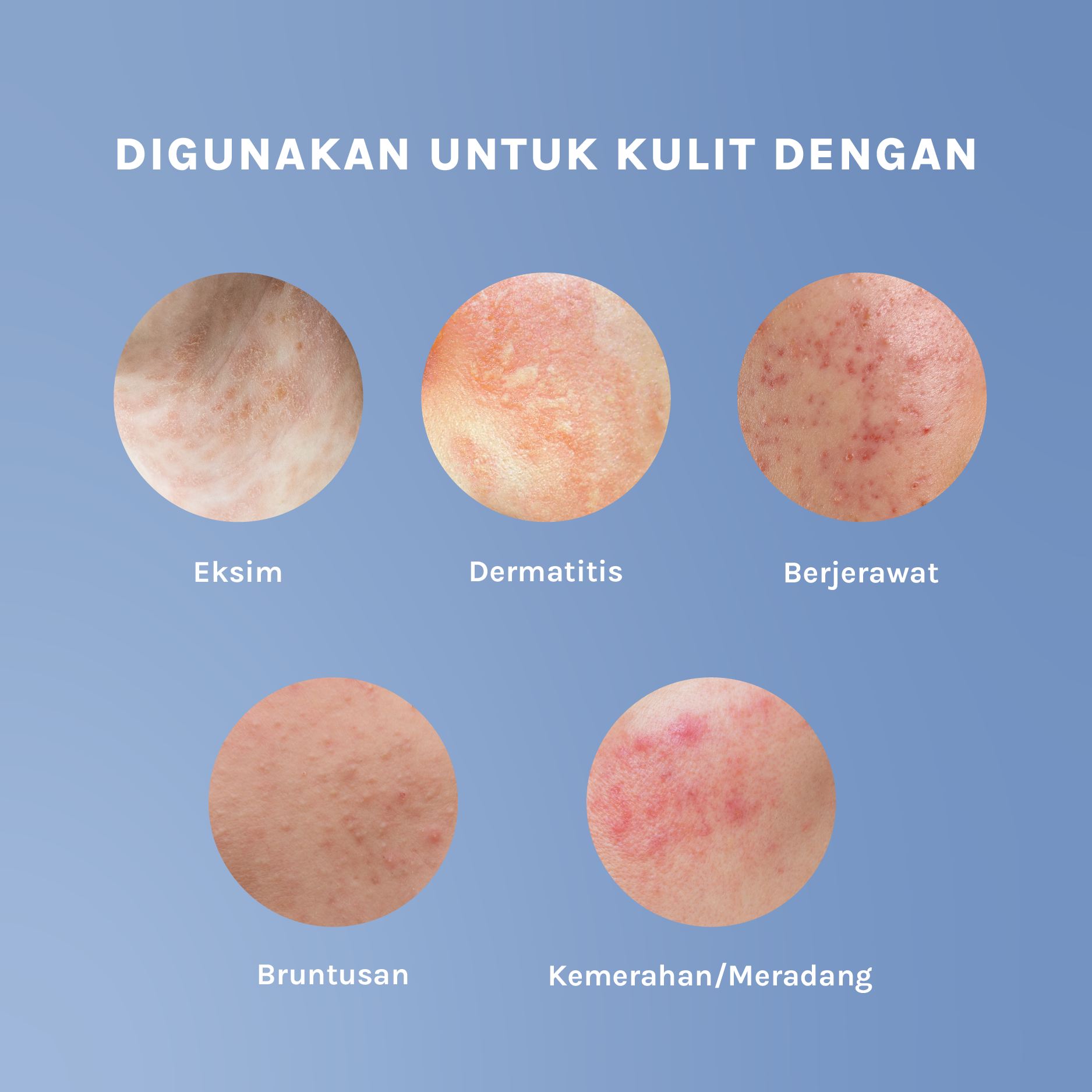 The Peptide + Ceramide Barrier Hero Cream - Feal