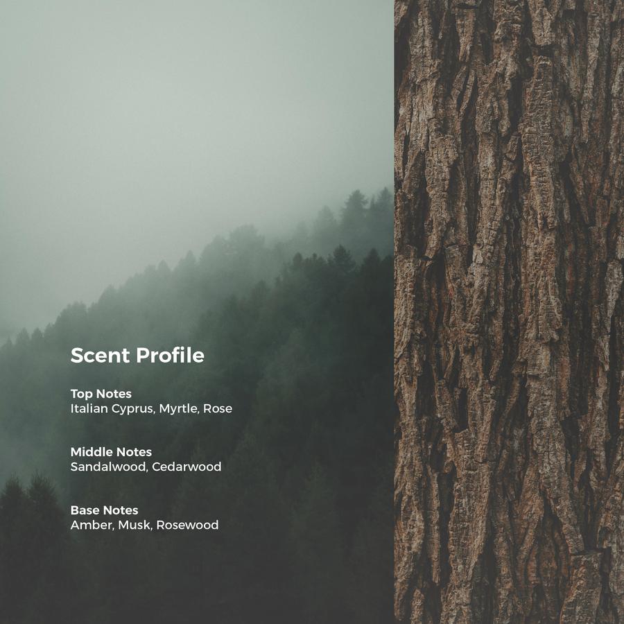 Scent profile of Through The Mystic Forest perfume by Scents Of Pluto, featuring top notes of Italian Cyprus, Myrtle, and Rose; middle notes of Sandalwood and Cedarwood; and base notes of Amber, Musk, and Rosewood, displayed on a misty forest and tree bark background.