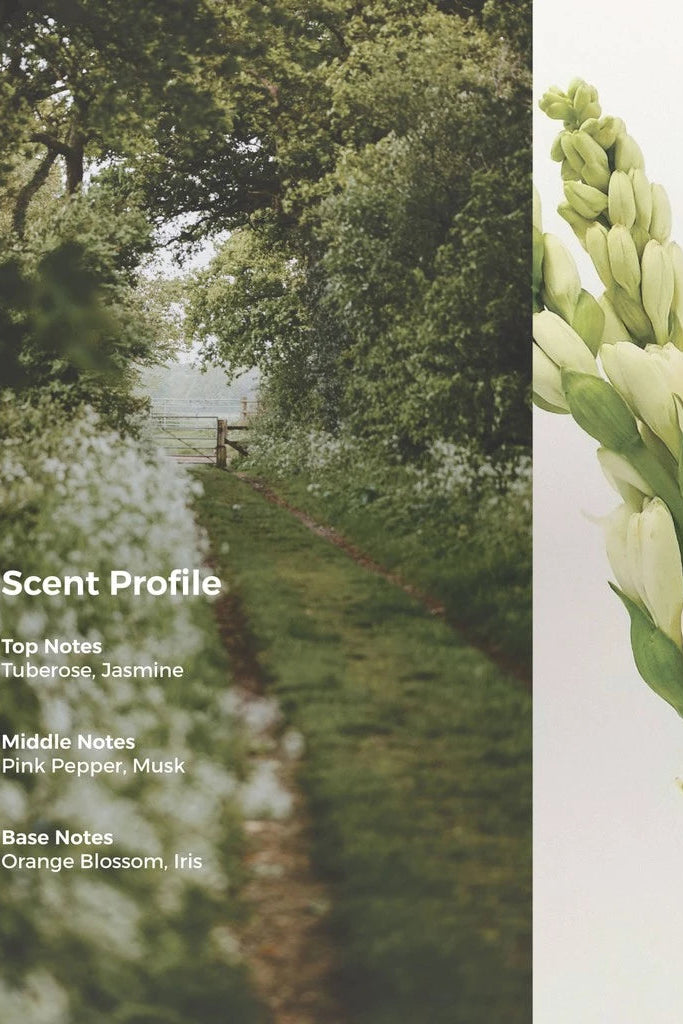 White Floral Bouqet (50ml) - Scents Of P.L.T.O