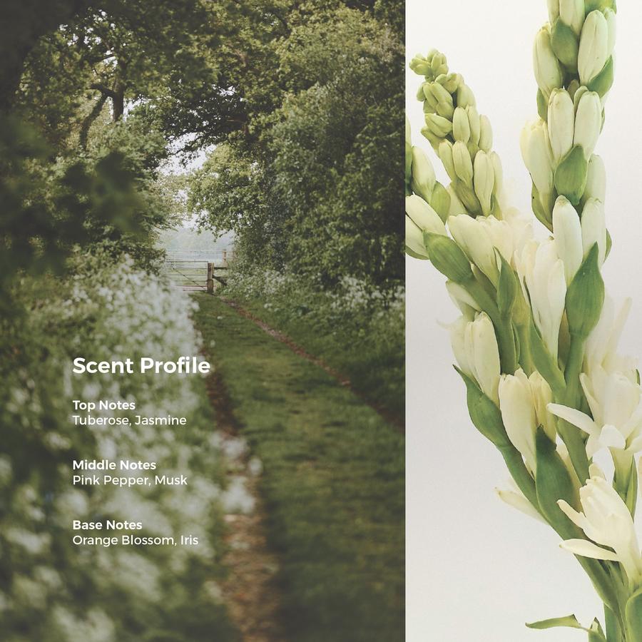 White Floral Bouquet (50ml) - Scents Of Pluto