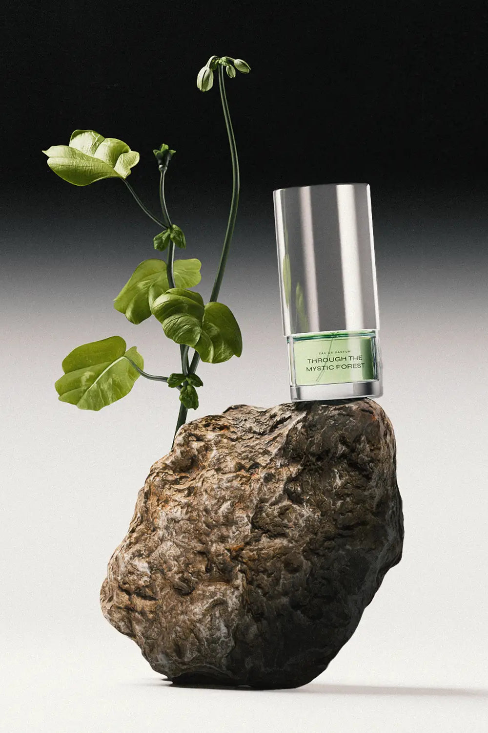 Through The Mystic Forest (50ml) - Scents Of P.L.T.O