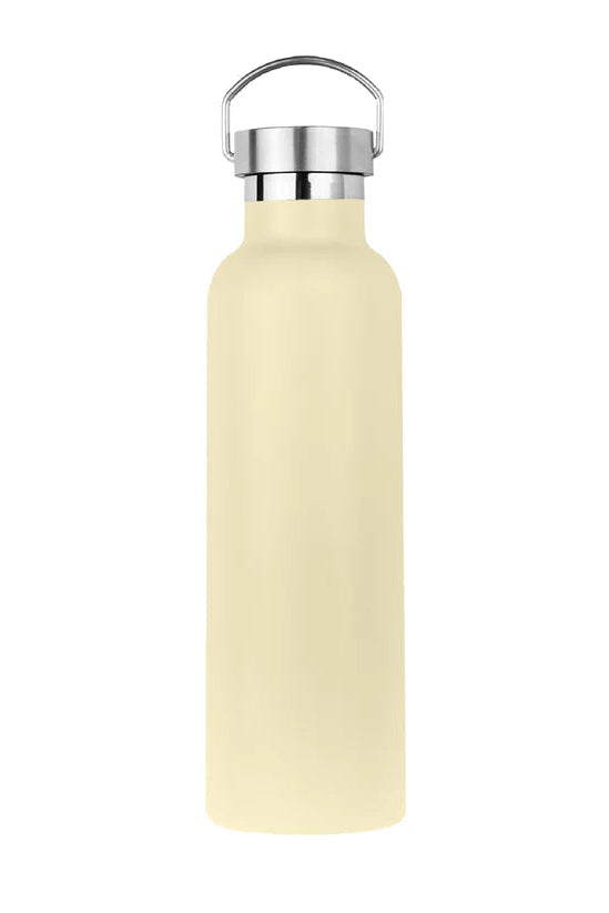 Metal Handle Lid Bottle (700ml) - Domma