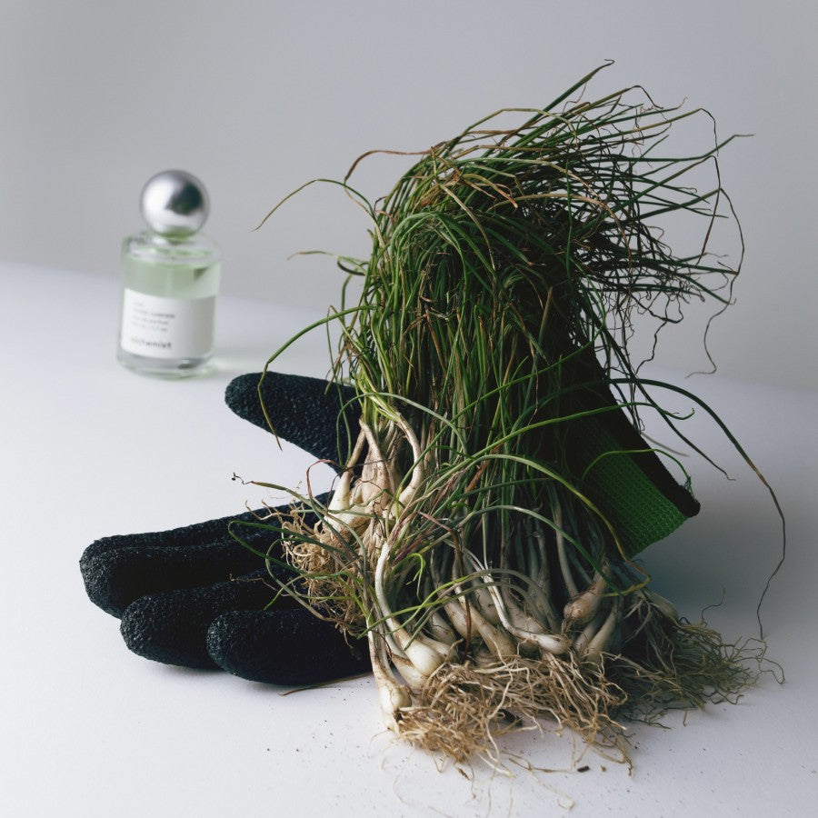 Home Garden - Alchemist Fragrance