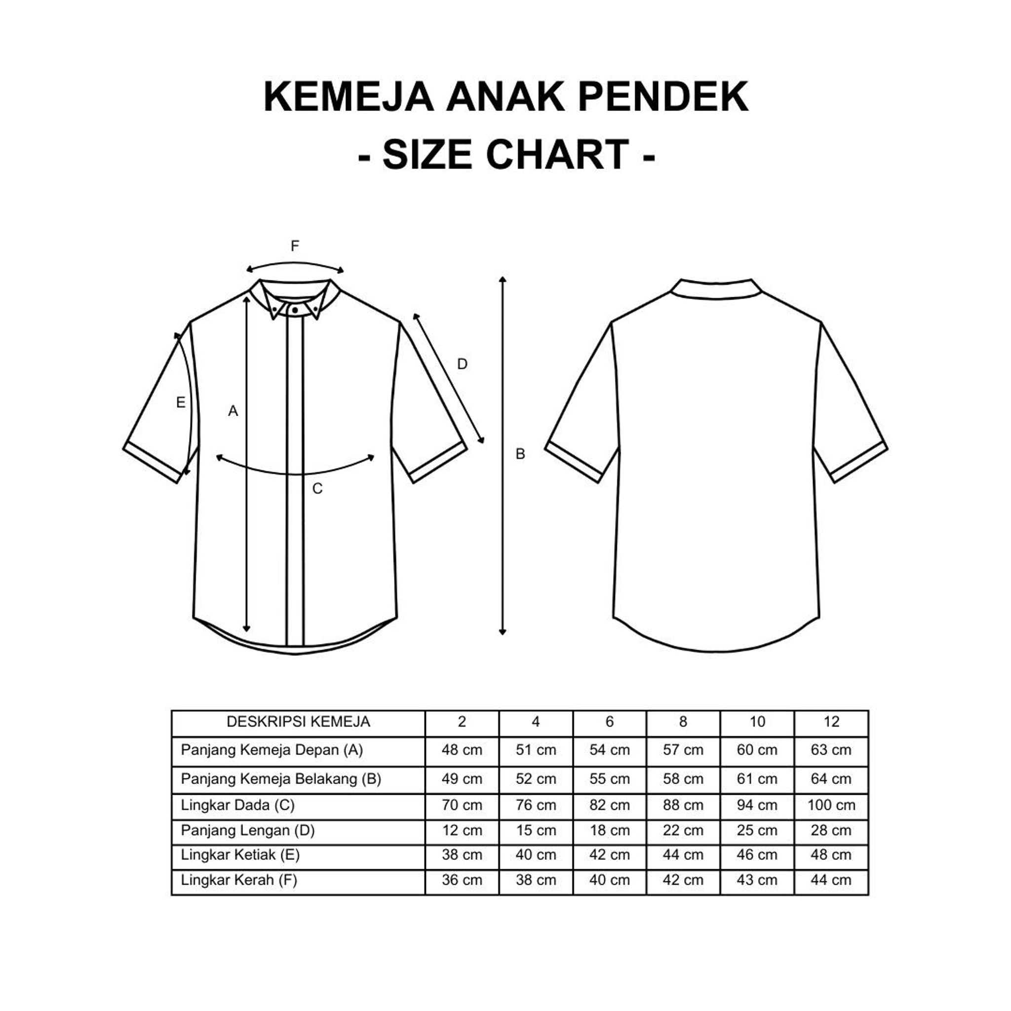 HGL Bambini - Arkana Kemeja Anak Bordir T.Pendek - Damakara