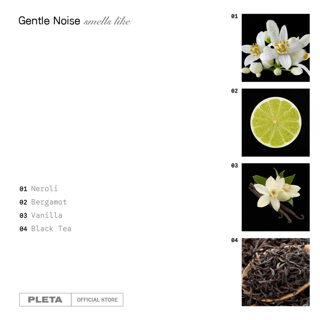 Gentle Noise - Pleta