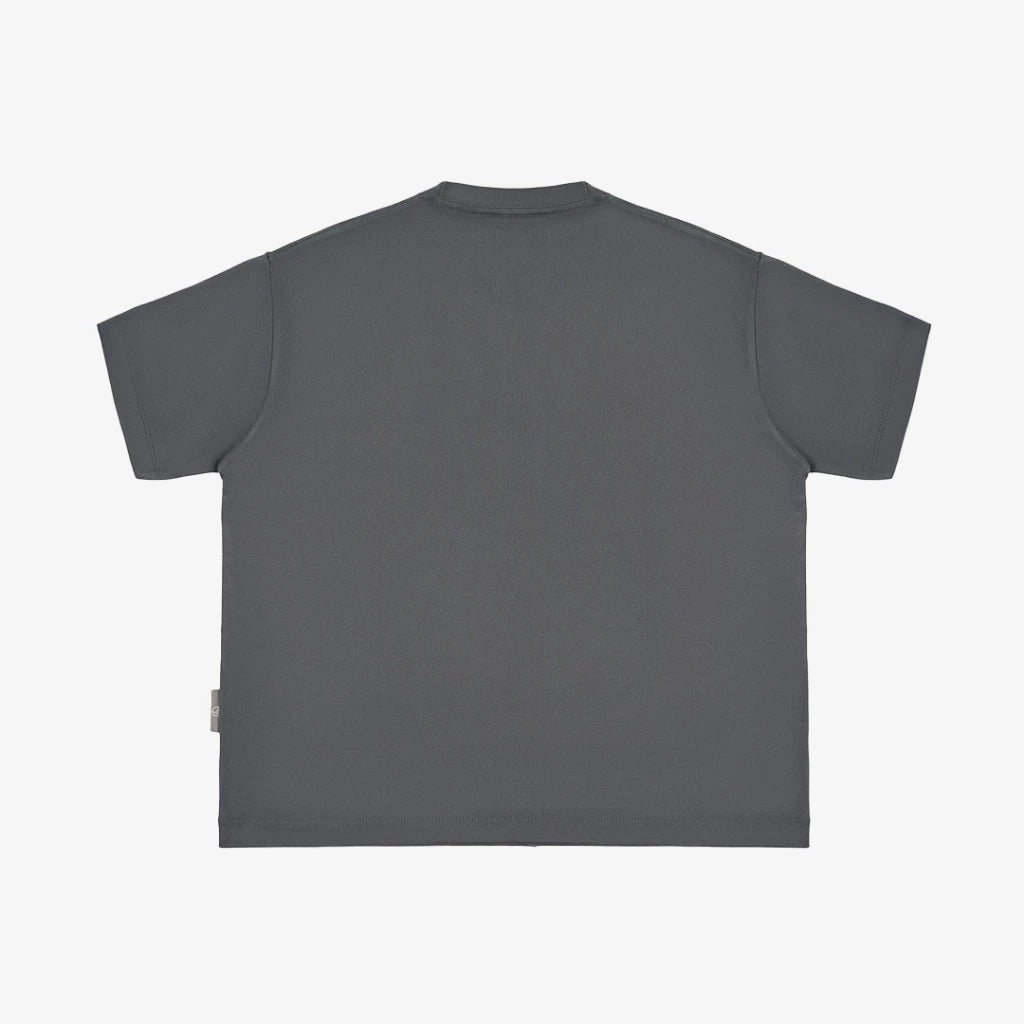Regular Fit T-shirt Iron Grey - Pardens