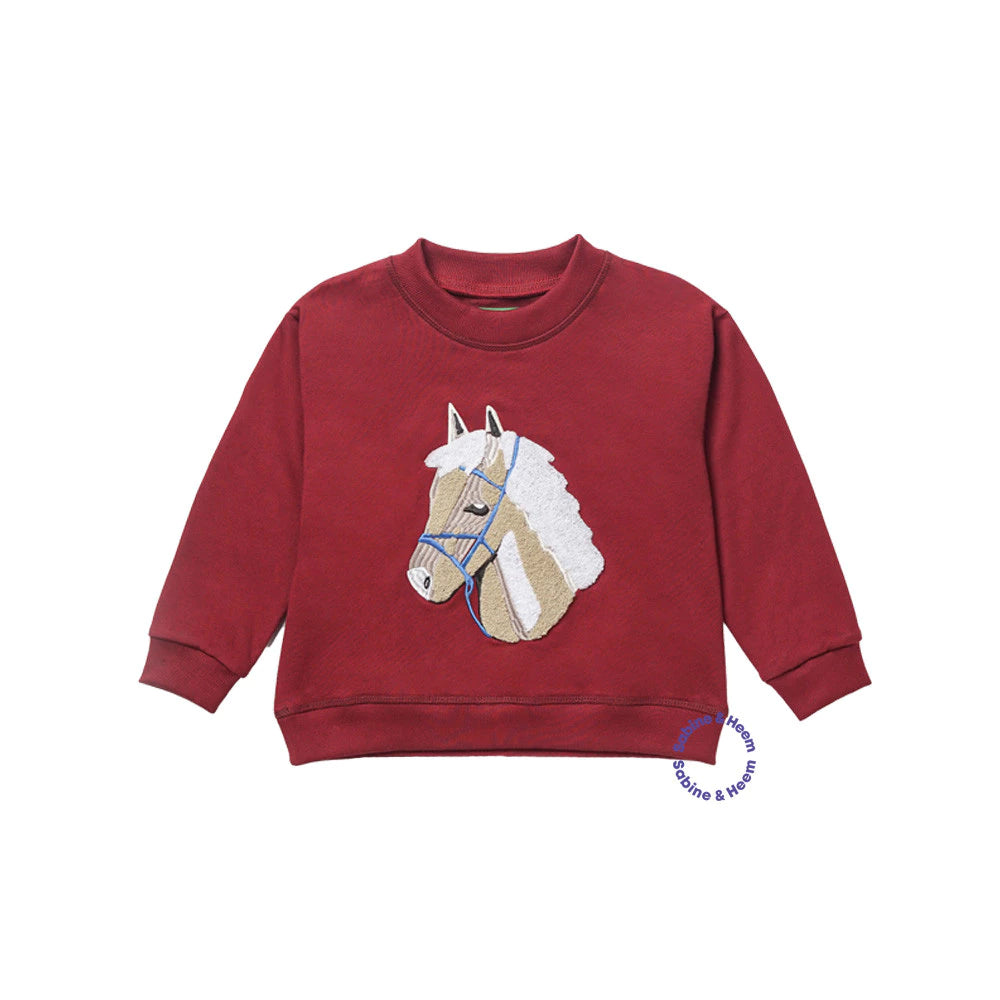 HGL Bambini - Folkies Sweater Maroon - Sabine & Heem