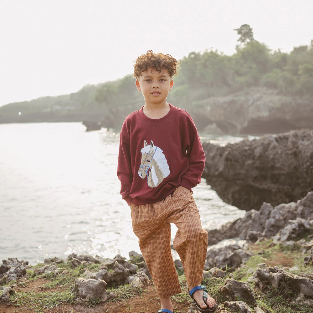 HGL Bambini - Folkies Sweater Maroon - Sabine & Heem