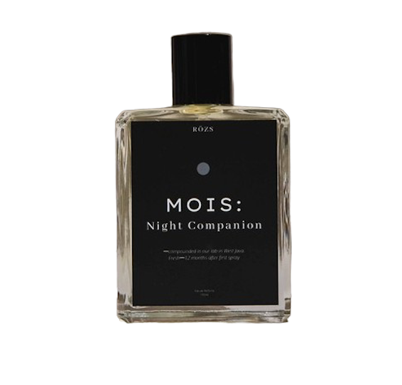 ​MOIS: Night Companion - Rozs